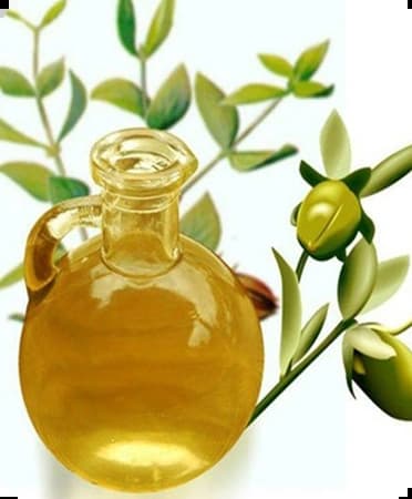 Simmondsia Chinensis (Jojoba) Seed Oil