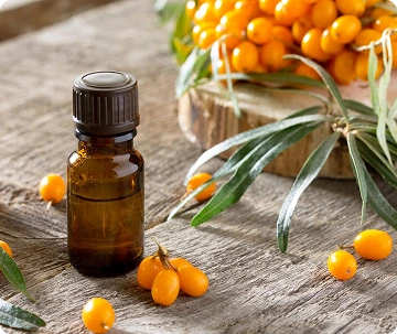 Hippophae Rhamnoides Oil