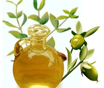 Simmondsia Chinensis Seed Oil